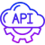 Custom-API-Integration